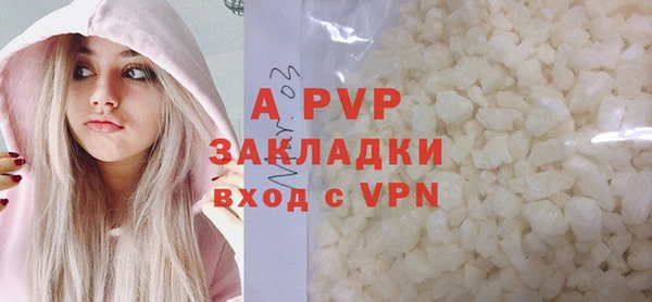 трава Коряжма