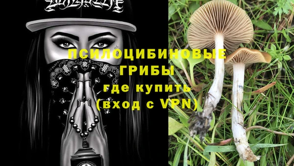 трава Коряжма