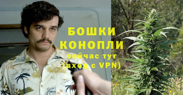 каннабис Корсаков