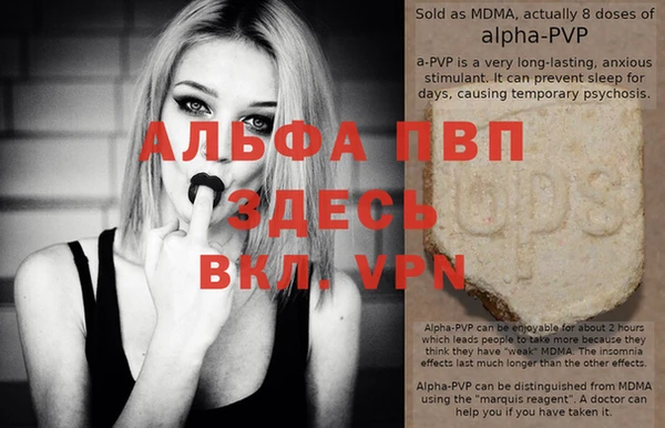 трава Коряжма