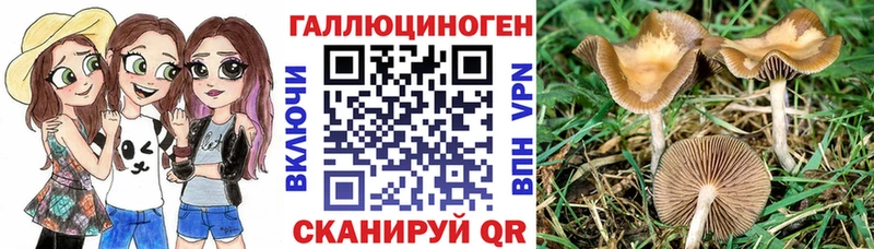 Псилоцибиновые грибы прущие грибы  Купить  Салават 